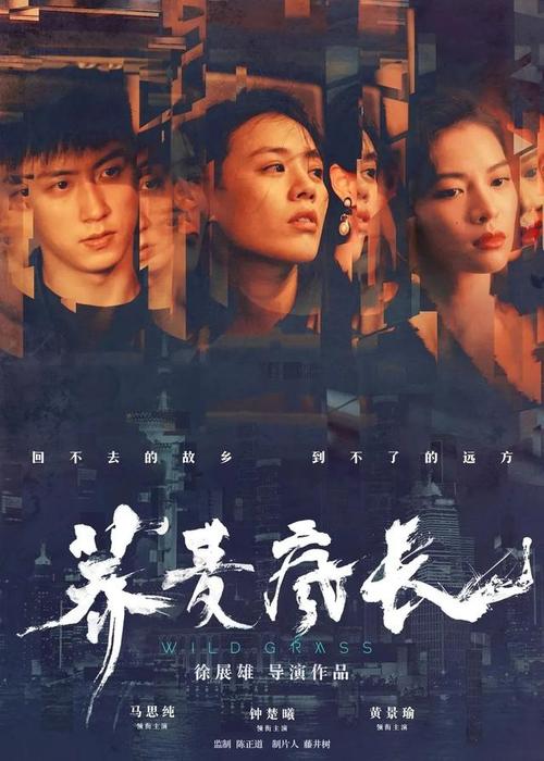 怎么办假威廉姆斯学院文凭毕业证